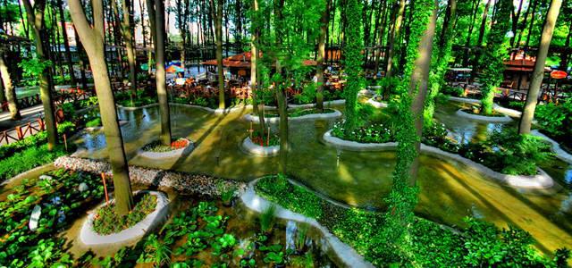 Sakarya Otobüs Bileti